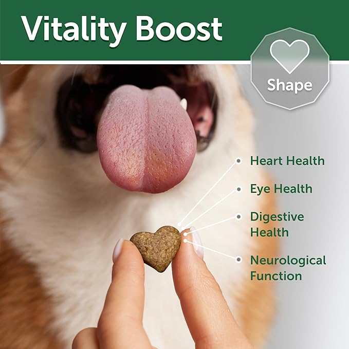 Nature's Protection Low Calorie Dog Treats for Training - Functional Treats for Digestion, Perfect for Small, Medium & Large Breed Dogs with Light Fur (Superior Care - White Fish & Rice, 5.29 oz)