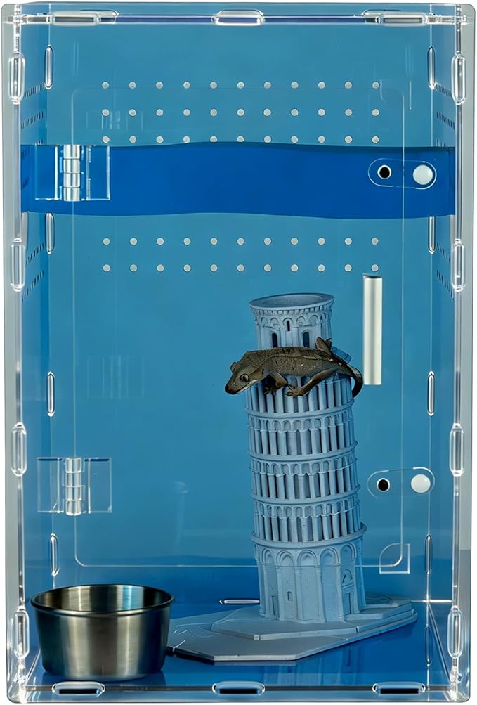 8x8x12 Acrylic Reptile Tank – Cyberpunk Blue Reptile Enclosure Terrarium Inspired by New Caledonia Rainforest – Color Habitat for Geckos & Small Reptiles