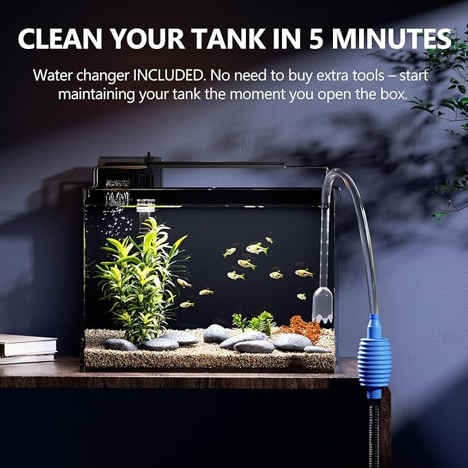 5 Gallon Fish Tank Aquarium Kit with Heater, HOB Filter, LED Light with Timer, Lid, Siphon Vacuum Cleaner, Self Cleaning Glass Rimless Betta Tank