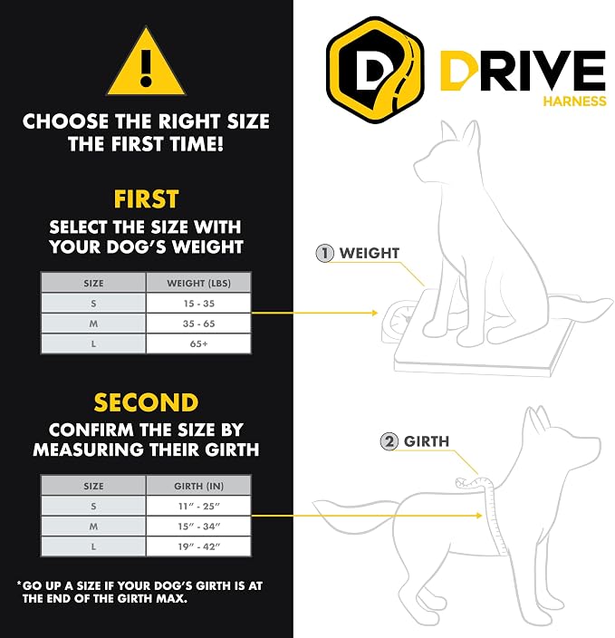 EzyDog Drive Dog Car Harness, Crash Tested and Certified - Small | US-FMVSS 213 Certified Dog Seat Belt Harness, Adjustable, Padded Comfort Chest Plate, Dual Metal SR Buckles