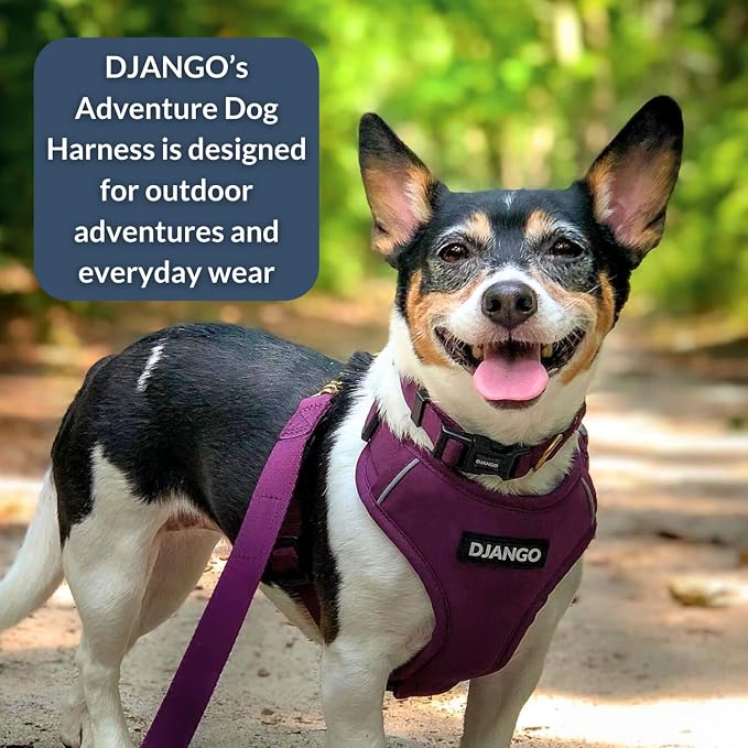 Adventure Dog Harness - Stylish, and Durable Medium Dog Harness for Outdoor Adventures and Everyday Wear - Plum Purple Neoprene Adjustable Harness for Dogs with Reflective Piping, Brass D-Ring
