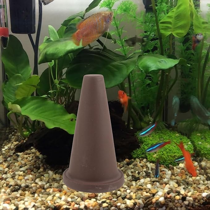 BESPORTBLE Spawning Bucket for Minnows Live Fish Aquarium Betta Fish Divider Cichlid Discus Tank Spawning Cone
