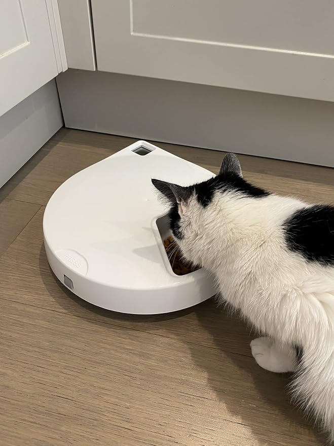 Closer Pets C500 Five-Meal Automatic Pet Feeder with Stainless Steel Bowls
