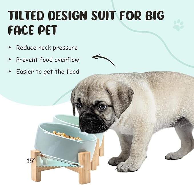 SPUNKYJUNKY 15° Slanted Ceramic Dog and Cat Bowl with Wooden Stand, Tilted Bulldog Food and Water Bowl No Slip Non-Spill for Cats Medium Dogs Big Face Pets 28.7 OZ (3.6 Cups, Morandi Green × 2)