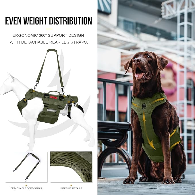 OneTigris Dog Lift Harness for Large Dogs, Dog Hip Support Brace, Full Body Dogs Lifter with Handles Invictus Multifunctional Mobility Assistance Vest for Back Legs (Green, Small)
