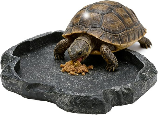 Tortoise Water Bowl - Reptile Water Food Dish Medium - Shallow Rock Reptile Feeder - Pet Aquarium Ornament Terrarium Dish Plate for Feeding Water Tortoise Lizard, 7.1 * 5.5 * 0.8in