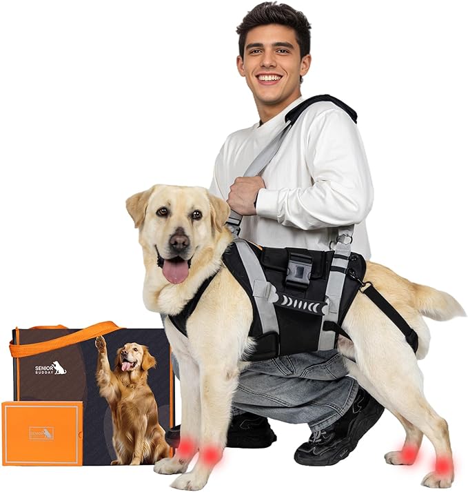 Dog Lift Harness for Large Dogs,Full Body Dog Sling Carrier, Black, Large | Help Support Big, Elderly Pet with Arthritis, Front/Rear Legs Assistance with Handle, for Lifting Injured Dogs Up Stairs