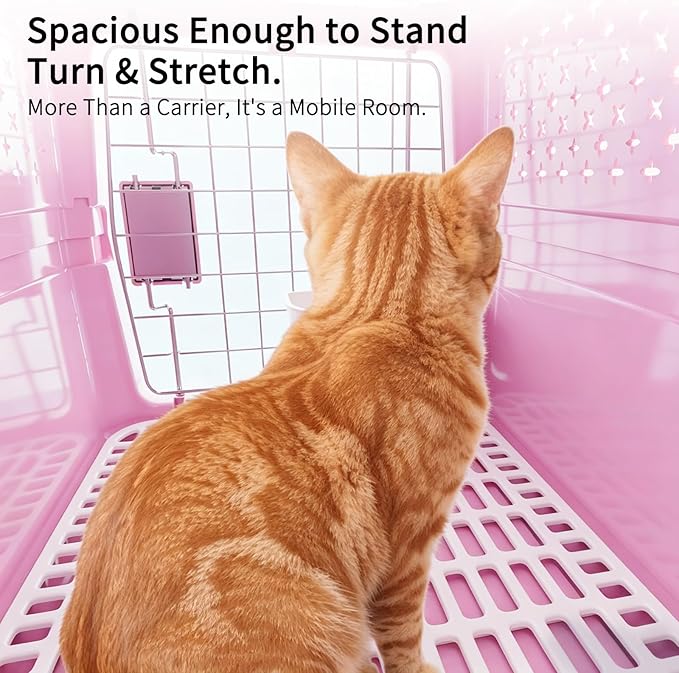 RIZZARI XS Pet Carrier for Small Cats & Dogs, Hard-Sided Travel Crate | Fits Pets Up to 10 lbs,Compact Travel Size,Secure Locking Door,Fresh Air Ventilation,Includes Food Bowl,Great for Vet Visits