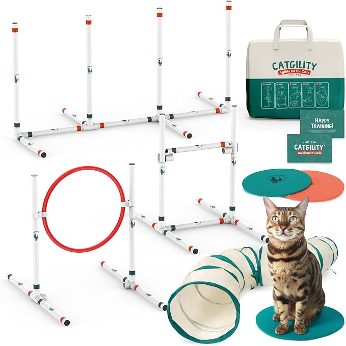 ALBERT & MIA Catgility™ Cat Agility Equipment, Hurdles, Poles, Hoop & Tunnel | Indoor obstacle course training for kittens and small dogs, jumping exercise and enrichment, clicker trainer guide included