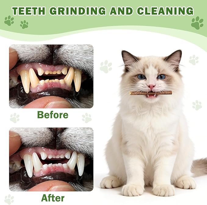 [8 Pack] Silvervine Sticks for Cats, Natural Chew Stick for Dental Care Teeth Cleaning, Cat nip Chew Rope Toys for Bored Indoor Kittens, Catmint Silvervine Blend Toys