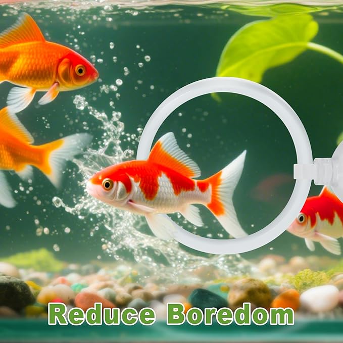 2 Pcs Betta Fish Exercise Ring and Betta Mirror Set,Betta Ring Enrichment Toys,Betta Toys Suitable for Fish Tank, Betta Tank, Betta Aquarium