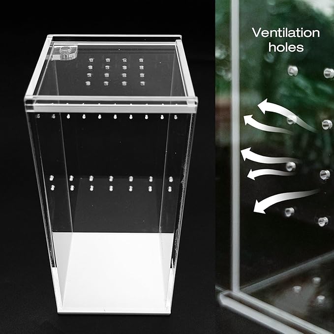 Small Acrylic Reptile Terrarium Kit, Acrylic Tank with Lid 3x3x6 Inch Clear Habitat Enclosure for Spider,Tarantula, Gecko, Hermit Crab, Frog and Insects Easy Assembly One-piece Leak-Proof