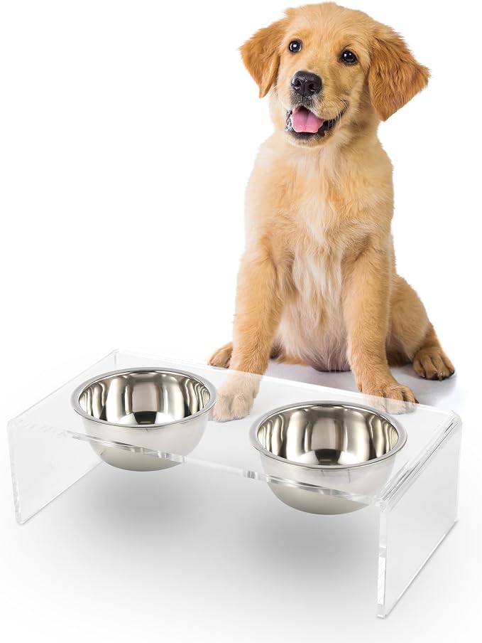 DBL2000A Keaton 5" Small/Medium Modern Lucite Rectangular Elevated Pet Feeder with 20oz 2-Stainless Steel Bowls, Clear/Chrome