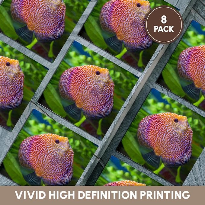 3dRose Super Pigeon Snakeskin Discus, Tropical Freshwater Fish. Set of 8 Ceramic Tile Coasters