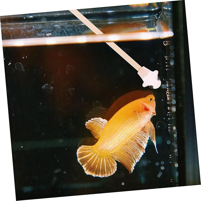 KOMBIUDA Betta Fish Training Wand Interactive - Wooden Plaything for Betta Tank Decoration for Fish Exercise Random Color