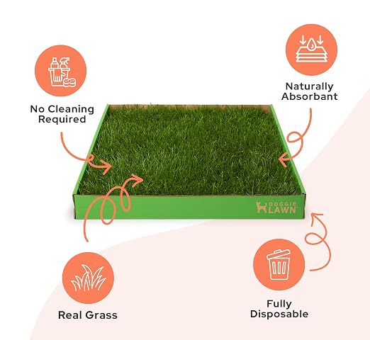 DoggieLawn Real Grass Dog Pee Pads with Tray - Large Dog Potty Pad 24x24 | No-cleaning, odor-reducing puppy potty training pad for housebreaking, indoor or outdoor use, real grass, replace when needed