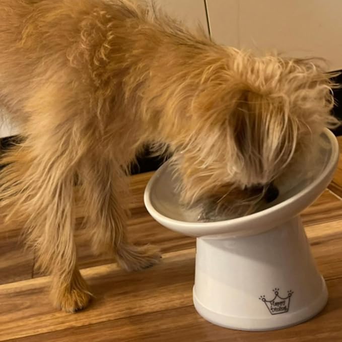 Necoichi Raised Dog Food Bowl, 15° Tilted (Dog, Extra Wide Tilted)