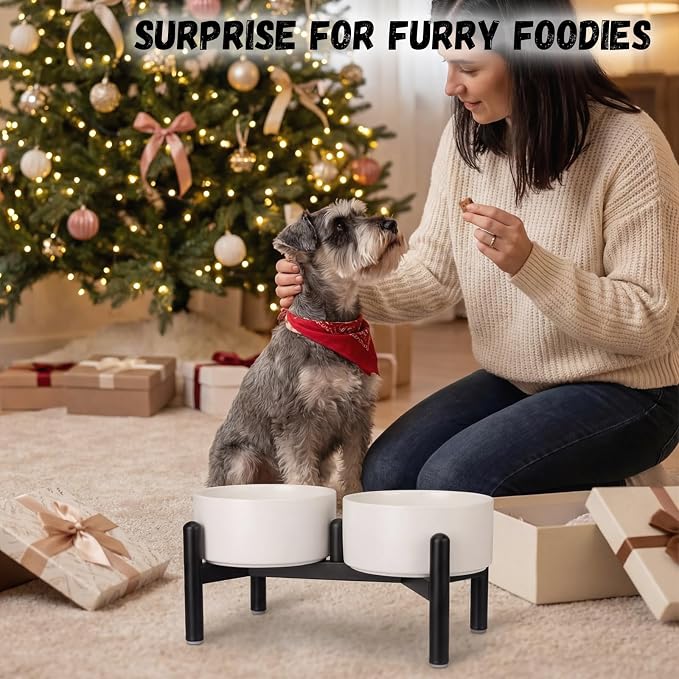 Raised Ceramic Dog Bowl Set with Stand, 3.5 Cups Elevated Dog Food Stand | 6.1'' Double Dog Food and Water Bowl Set, Non-Slip Dog Feeding Dishes for Small to Medium Breeds, 29.57 OZ, White