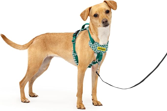PetSafe Easy Walk Comfort No Pull Dog Harness, Green Gringham, Extra Small | Stops Pulling on First Use with Front Martingale Loop, Padded Comfort, 5-Point Adjustable Fit