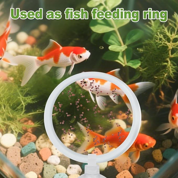 2 Pcs Betta Fish Exercise Ring and Betta Mirror Set,Betta Ring Enrichment Toys,Betta Toys Suitable for Fish Tank, Betta Tank, Betta Aquarium