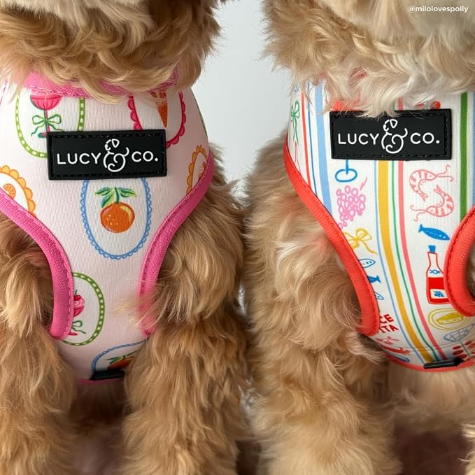 Lucy & Co. Dolce Vita Reversible Dog Harness, Adjustable Comfort Fit with Dual Leash Attachments, Small