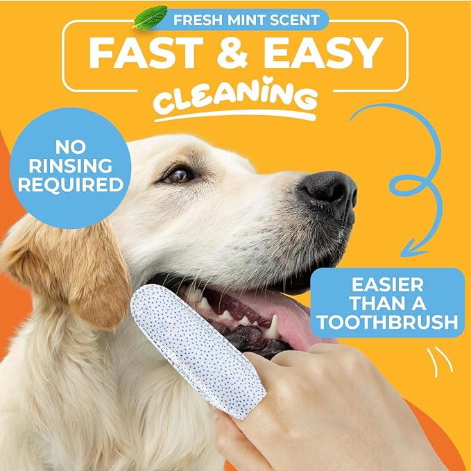 Paw Science Dog & Cat Teeth Cleaning Wipes - Dental Finger Wipes for Cats & Dogs - Pet Toothbrush & Tooth Brushing Kit - Effective Teeth Cleaner (Mint)
