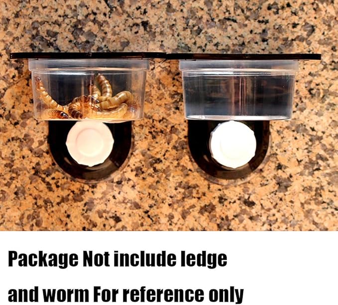 YOGURTCK 100pcs Crested Gecko Feeding Cups Reptile Feeder Bowls for Putting in Water and Food, Fit Lizard and Other Small Animals Pet Supplies 0.5oz