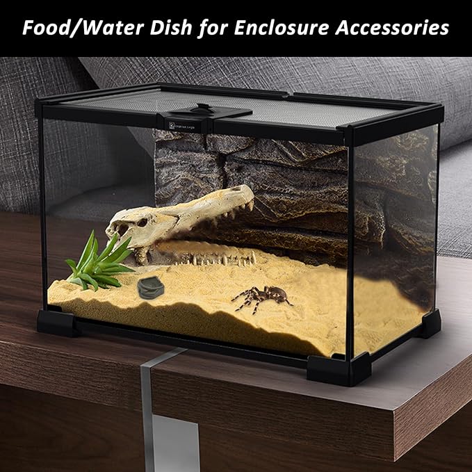 6 Pcs Spider Micro Water Bowls, Mini Resin Dish for Tarantula, Spider, Millipede and Tiny Reptiles, Food/Water Dish for Enclosure Accessories (1.65" D, 0.59" H)