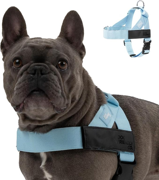 Dog Friendly Co. Dog Harness for Medium Dogs (Sky Blue, Medium) | One Click Buckle, Chafe Resistant Webbing, Adjustable Neck & Chest, and Heavy Duty D-Ring, Sturdy Comfortable and Easy to Use