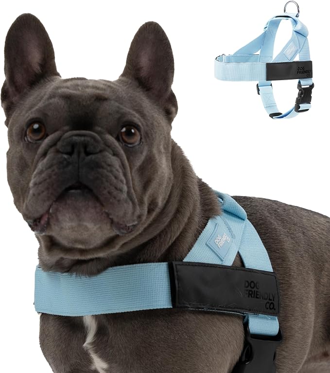 Dog Friendly Co. Dog Harness for Large Dogs (Sky Blue, Extra Large) | One Click Buckle, Chafe Resistant Webbing, Adjustable Neck & Chest, and Heavy Duty D-Ring, Sturdy Comfortable and Easy to Use