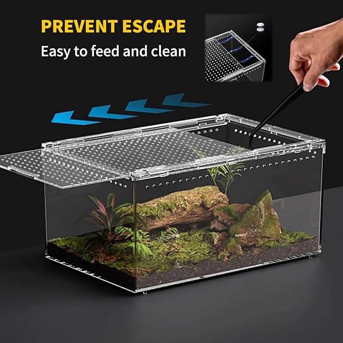 Reptile Growth Reptile PC Terrarium,Tarantula Enclosure,Spider Tank with Magnetic Button.16"x10" x 8" Lizard Enclosure,Reptile Breeding Tank for Insect,Fish,Tarantula,Hermit Crab,Small Bearded Dragon