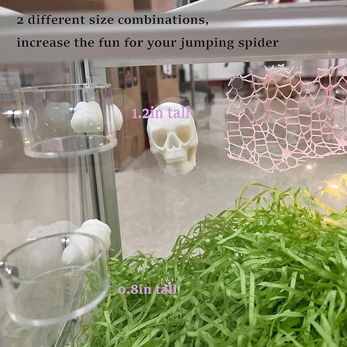Tall Jumping Spider Feeding Dish, Magnetic Tiny Food Dishes Water Dish for Jumping Spider, Tarantula and Other Small Pets,(1.2in Tall)