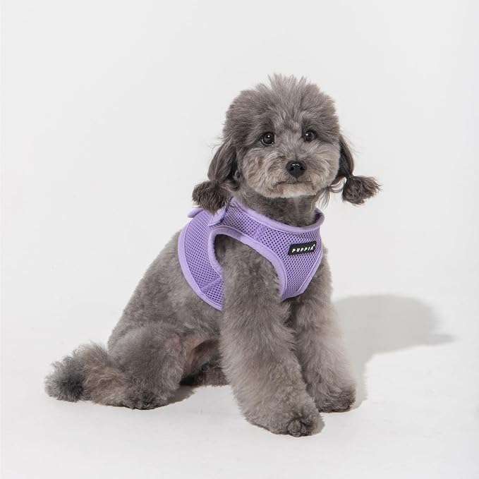 Puppia Soft Vest Dog Harness Step-in Padded Mesh No Choke No Pull Comfortable Walking Running Training for Small Medium Large Dogs, Violet, XX-Large
