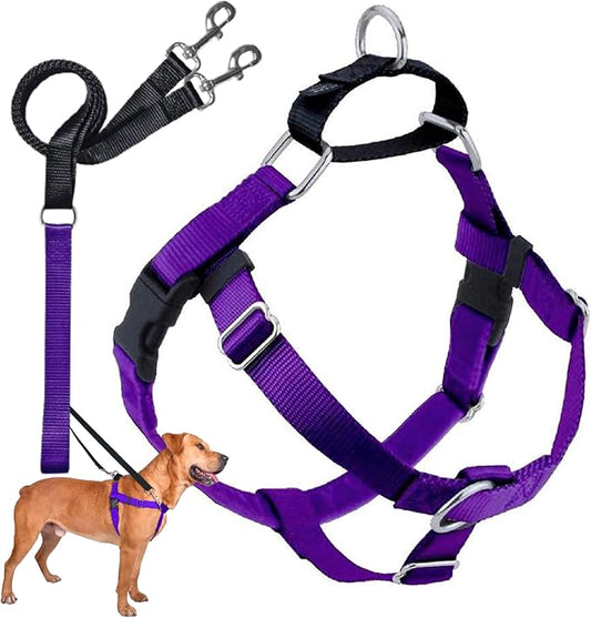 2 Hounds Design Freedom No Pull Dog Harness and Leash, 5/8" SM, Purple | Promotes Easy Walking & Comfortable Control, Secure Fit, Adjustable Harness and Leash Set for Small Sized Dogs, Made in USA