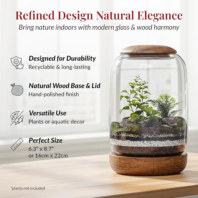 Exclusive Glass Terrarium, Beautifully Enhanced by a Natural Wood lid and Base. Excellent for Plants and Decoration, for Home or Office: Size: 8.7" Tall (22 cm) by 6.3" Wide (16 cm)