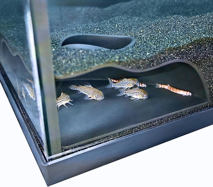 Lucky Critter Aquarium Underground Corner Cave Natural Curve | Viewing Fish & Shrimp Under Gravel Tunnel | Fish Tank Decor Decoration Hideout Perfect for Corydora Catfish, Kuhli Loach, Pleco