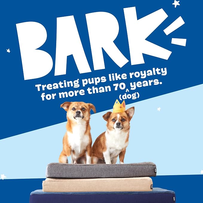 BarkBox Orthopedic Dog Bed - Small | with Memory Foam - Comfortable, Durable & Machine Washable Pet Bed - Grey