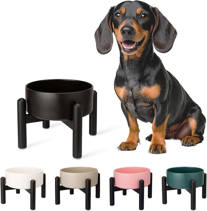 Raised Ceramic Dog Bowl Set with Stand, 2 Cups Elevated Dog Food Stand | 6.1'' Single Dog Food or Water Bowl Set, Non-Slip Dog Feeding Dishes for Small to Medium Breeds, 28.75 OZ, Black