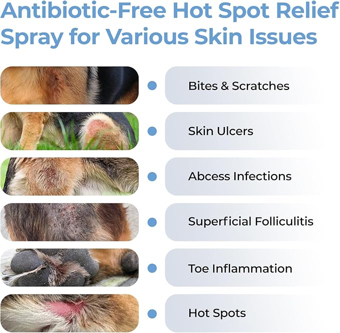 Hot Spot Spray for Dogs Healing Aid for Skin Sores, Irritations & Redness | Anti-Itch Relief to Stop Chewing & Licking | Safe, Non-Toxic HOCl Formula for All Animals | 3.38 fl oz