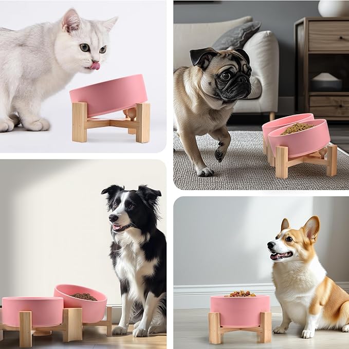 SPUNKYJUNKY 15° Slanted Ceramic Dog and Cat Bowl with Wooden Stand, Tilted Bulldog Food and Water Bowl No Slip Non-Spill for Cats Medium Dogs Big Face Pets 28.7 OZ (3.6 Cups,Pink)