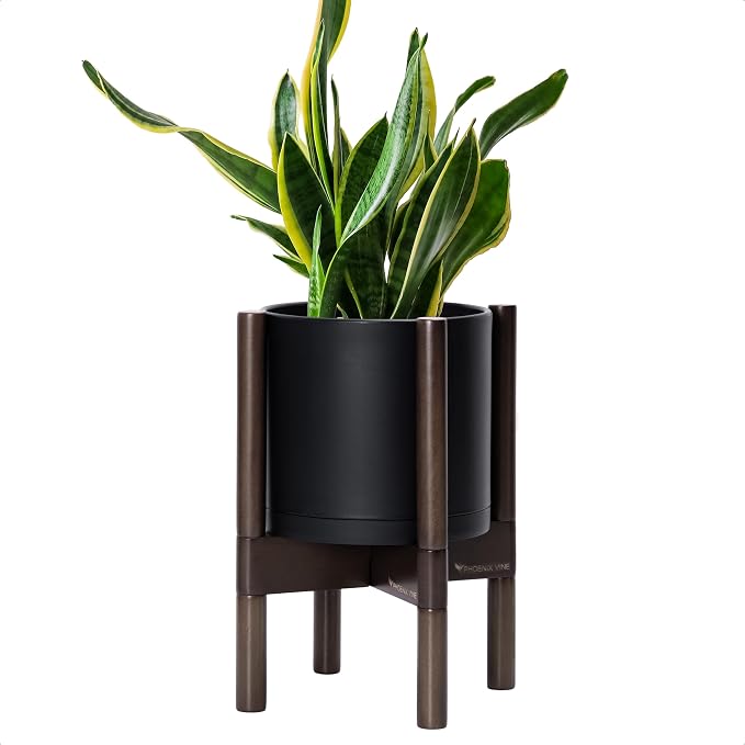 D'vine Dev Plastic Pot with Walnut Wood Stand, Black, 8 in, 55-C-I-2 | Mid-Century Inspired Design, Elevated Plant Display, Clean Lines, Sturdy Support, Modern Space-Saving Style