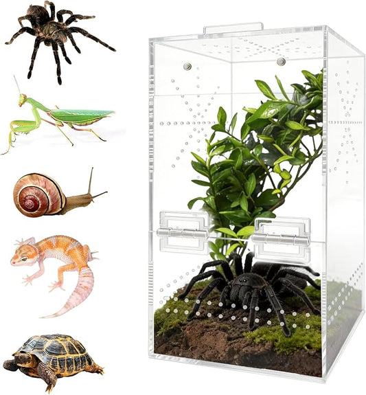 Jumping Spider Enclosure, 6"×6"×11.8" Escape Proof Transparent Acrylic Enclosure, Magnetic Door Acrylic Tarantula Terrarium with Feeding Port, Praying Mantis Terrariums, Arboreal Tarantula Cribs