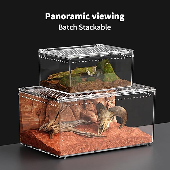 Reptile PC Terrarium 8" x 6" x 4", Tarantula Enclosure,Spider Tank Starter Kit, Hermit Crab Habitat,Lizard Enclosure,Insect Housing,Jumping Spider Cage (Small)