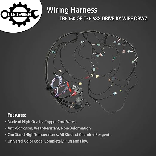 Standalone Wiring Harness 6.2 L, LS Swap, Fits 06-15 LS3 LS2 Vortec Engine | TR6060 T56 58X DBWZ, Stand Alone Wiring Harness, LS Wire Harness, Drive by Wire Throttle Body