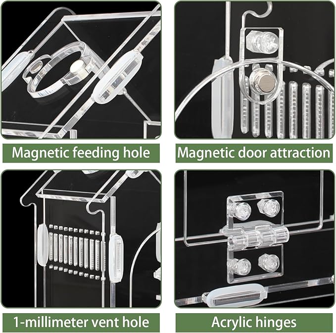 Magnetic Acrylic Terrarium for Jumping Spiders & Small Pets – Easy-Access Front Opening, Feeding Hole, Ideal for Reptiles, Tarantulas, Hermit Crabs & More