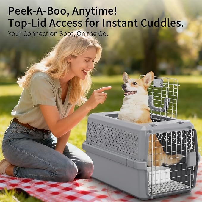 RIZZARI Gray Pet Carrier for Medium Dogs & Cats, Hard-Sided Travel Kennel | Spacious Interior,Reinforced Side Latches,Stable Carrying Handle,Wide Front Entry,Supports Daily Travel,Light weight to Carry