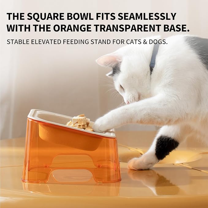 Cool Kids Elevated Cat Bowls Raised Slanted Eco Fiber Disposable Refill | Food-Grade Degradable Fiber, Cat Bowls for Small Dogs, Disposable No-Clean, Fits Camping & Travel, Multi-Pet & Stray Feeding