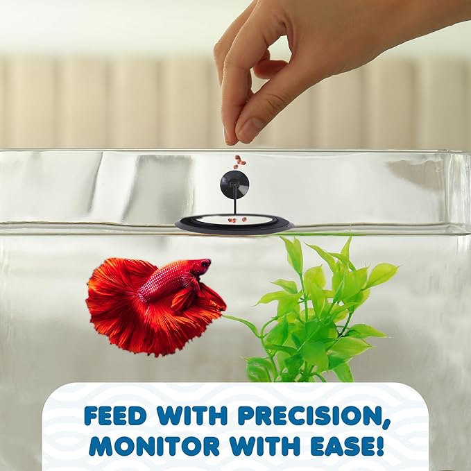 SunGrow Betta Feeding Ring, Prevent Water Turbulence from Washing Food into Filter, Practical Round Floating Food, Suitable for Guppy, Goldfish and Other Small Fish (3 Feeding Rings)