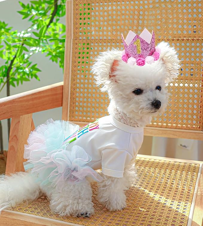 ANIAC Dog Birthday Dress and Hat Set Puppy Lace Tutu Pink Pet Crown Hat with 0-9 Figures Birthday Outfit for Cats Small Dog (White+Pink,X-Large)