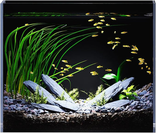 3 Gallon Glass Fish Tank Ultra Clear Rimless Aquarium, Built-in Black Background Rectangular Tank